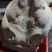 8~10斤无耳猪头大量有货