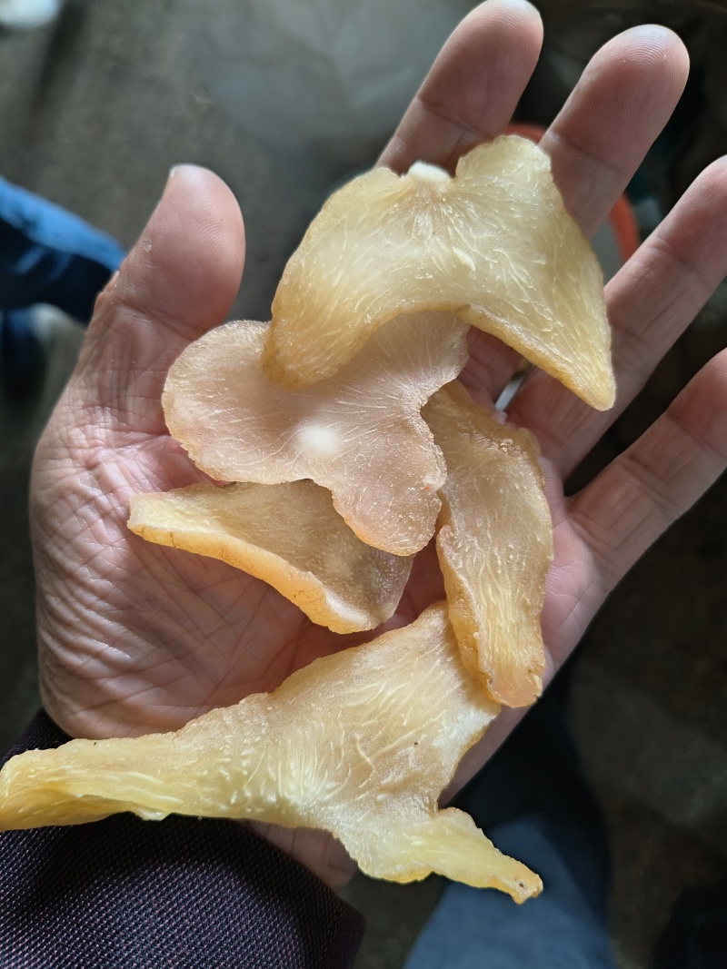 黄精，鸡头黄精，品相好，质量保证
