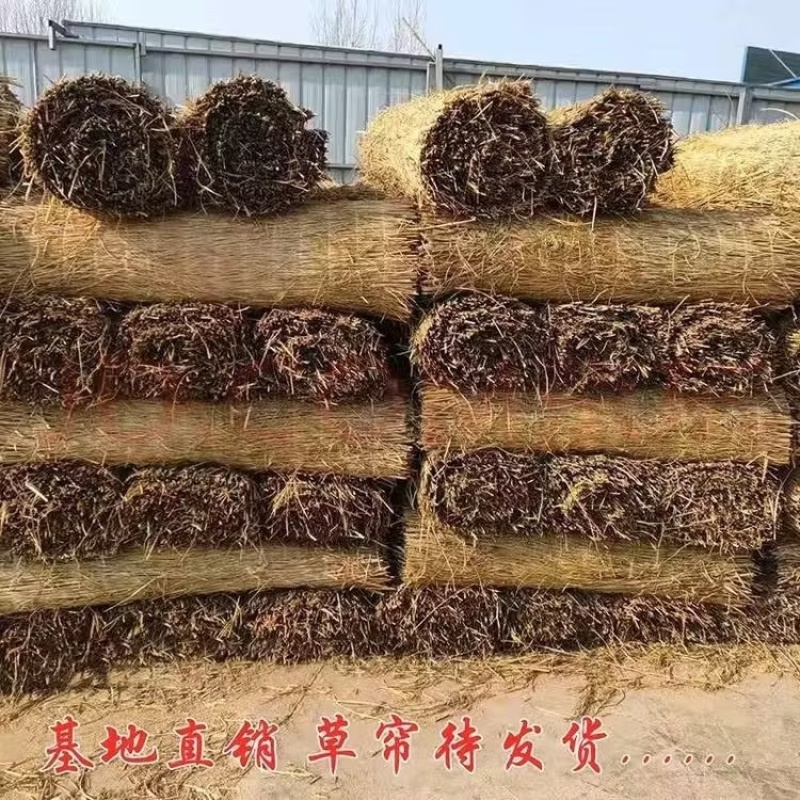 山东草帘子对接全国量大从优价格美丽质量好走货快欢迎询价