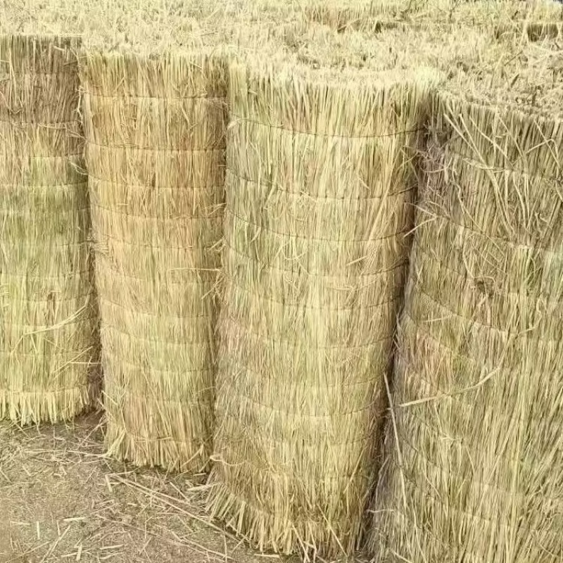 山东草帘子对接全国量大从优价格美丽质量好走货快欢迎询价