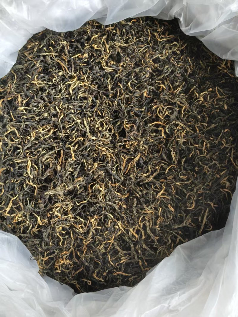 英红九号红茶，牛粪加花生枯种的有机茶