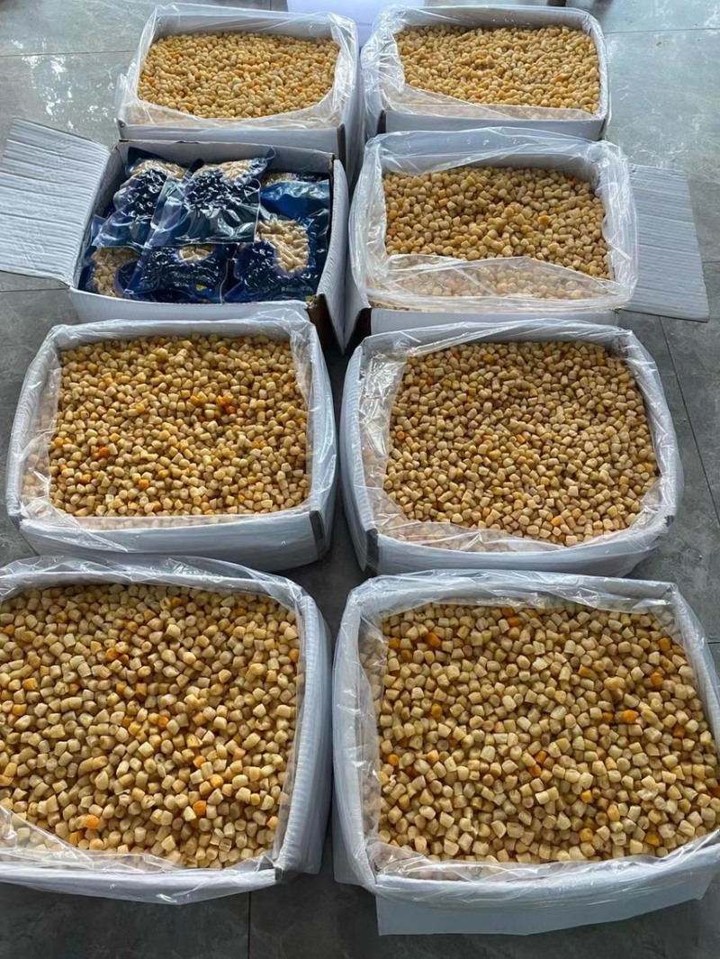 广东广州越秀区水产干货批发干贝/瑶柱可视频看货