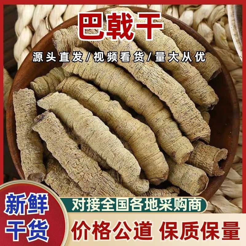 德庆巴戟天过筛大肉产地直发
