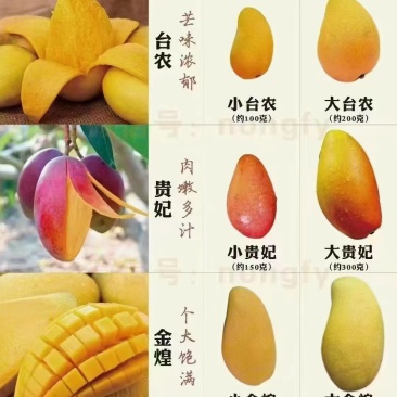 广西百色市各类芒果上市了***********