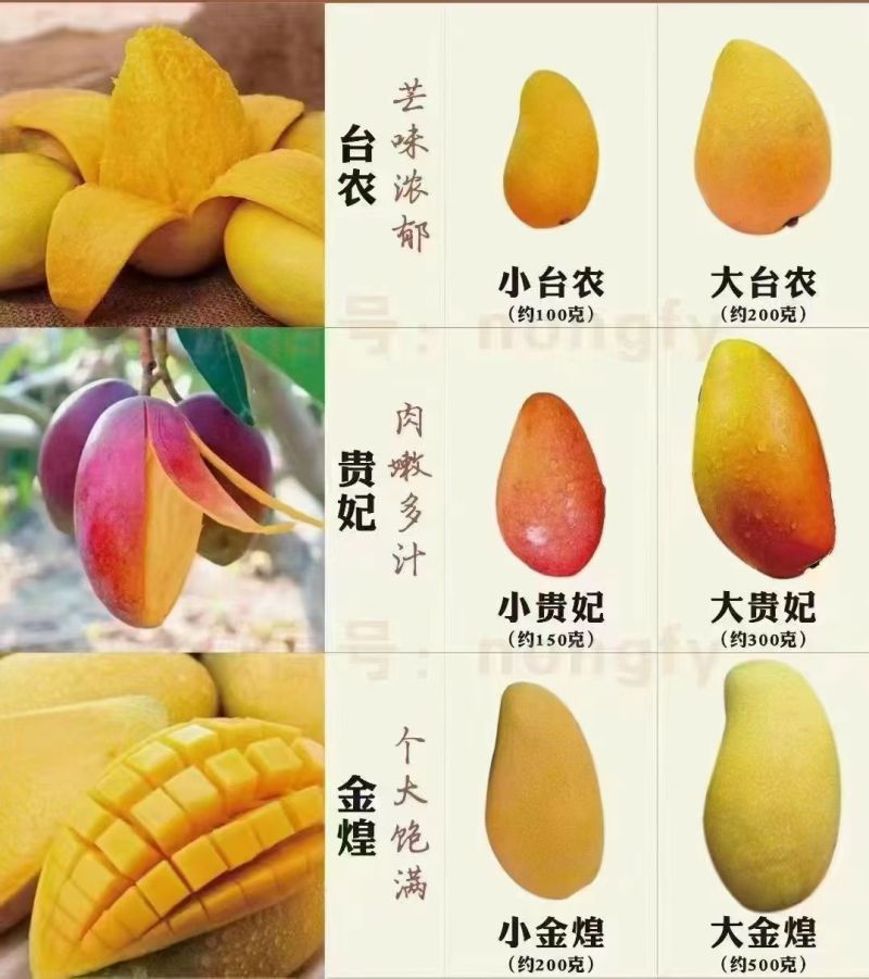 广西百色市各类芒果上市了***********