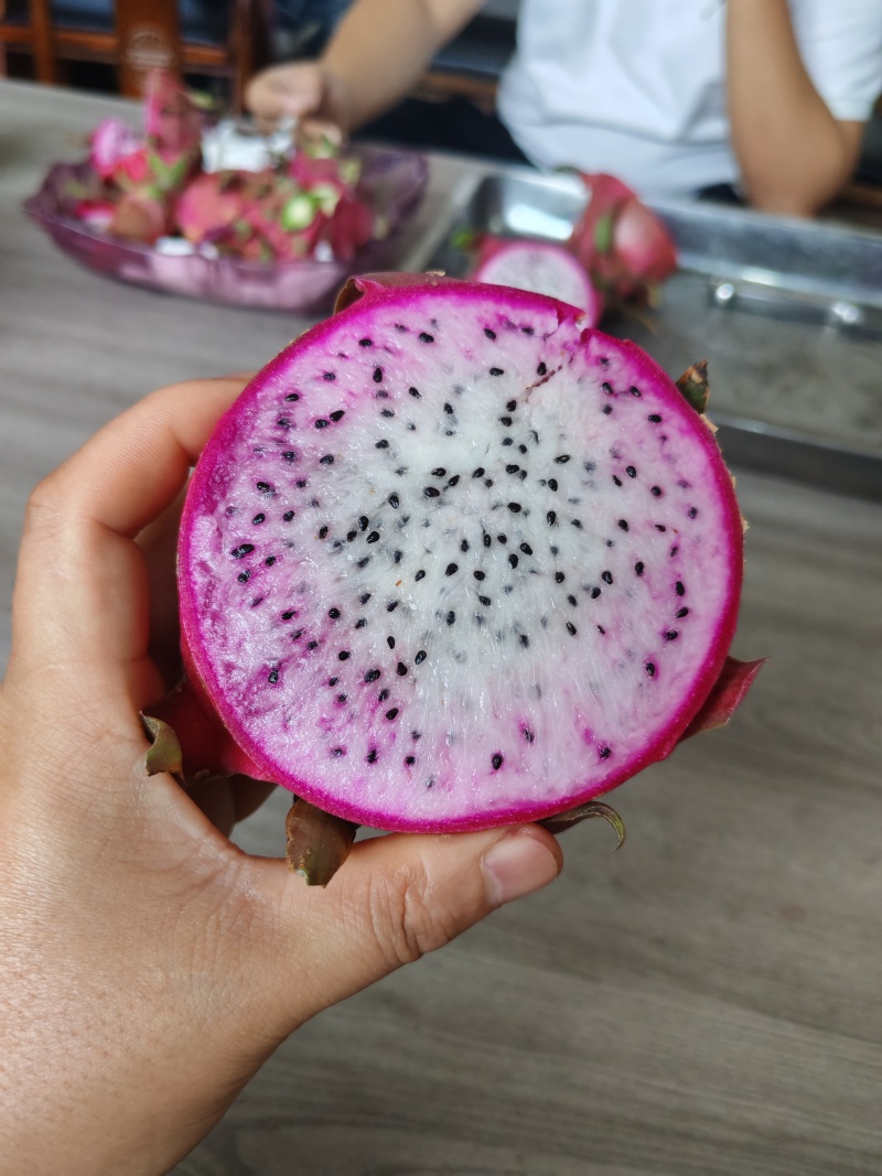 火龙果