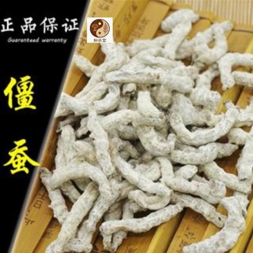 僵蚕红僵蚕，