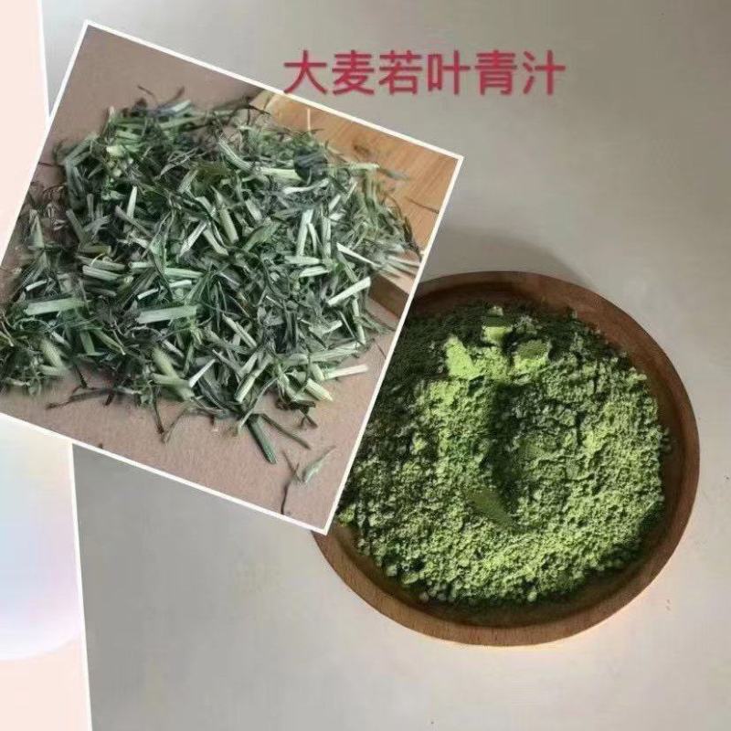 大麦苗