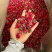 冻干金边花冠