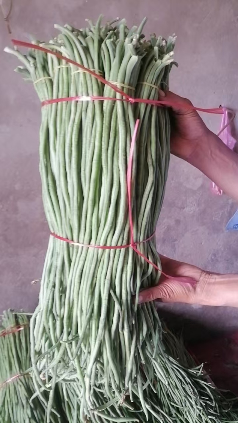 精品青条豆角