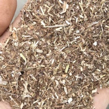 精品花生秧叶粉黄白绿