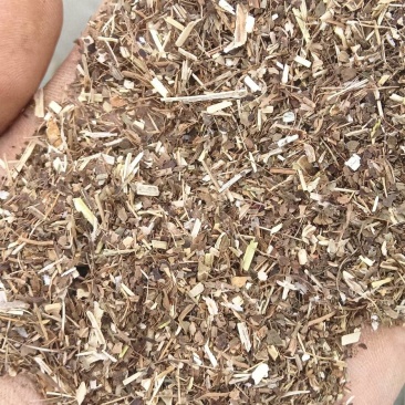 精品花生秧叶粉黄白绿