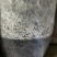 平菇棉壳三级菌种，17*35袋子，重2斤左右，量大价优