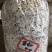 平菇棉壳三级菌种，17*35袋子，重2斤左右，量大价优
