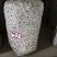 平菇棉壳三级菌种，17*35袋子，重2斤左右，量大价优
