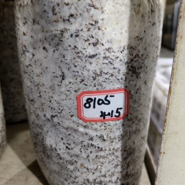 平菇棉壳三级菌种，17*35袋子，重2斤左右，量大价优