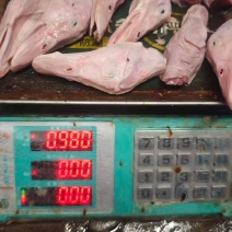 白条鸭头，工厂直接发货，货源充足