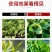 奥丰液体氮肥叶面肥提苗壮苗速效高氮肥叶片绿大量元素水溶肥