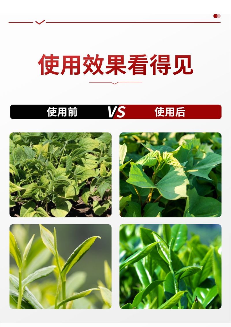 奥丰液体氮肥叶面肥提苗壮苗速效高氮肥叶片绿大量元素水溶肥
