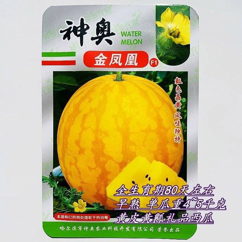高端礼品西瓜种籽早熟特大无籽黄皮黄心高产西瓜种子果型美