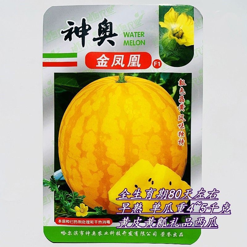 高端礼品西瓜种籽早熟特大无籽黄皮黄心高产西瓜种子果型美
