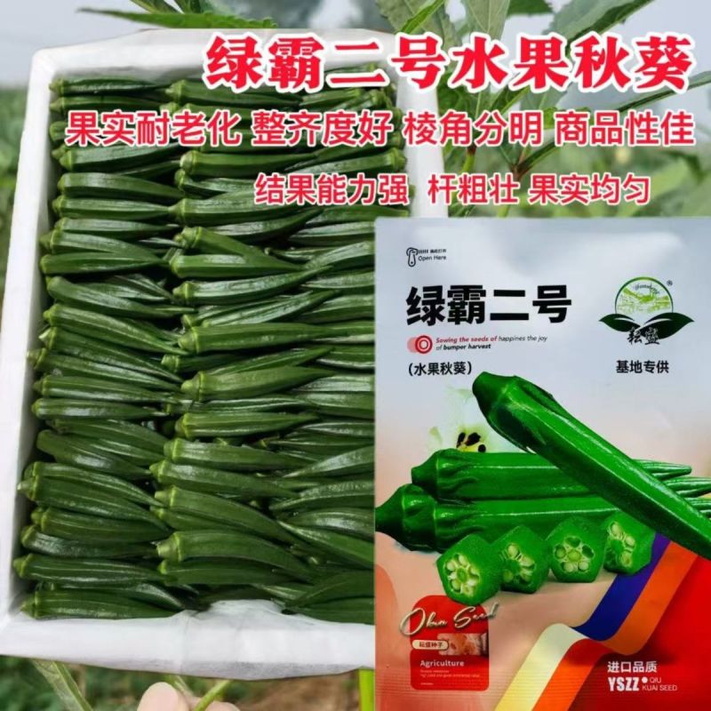 进口高端水果秋葵种籽耐老化嫩滑高产春秋播种秋葵种原装正品