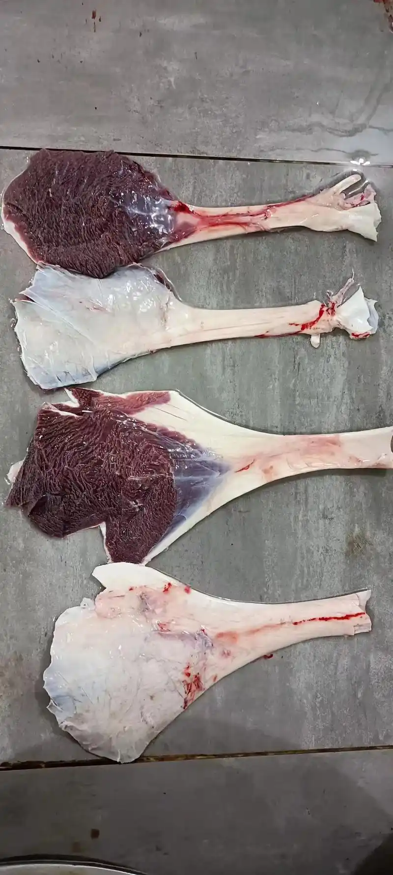 工厂直发鸵鸟肉鸵鸟腿诚信经营保质保量量大从优欢迎联系