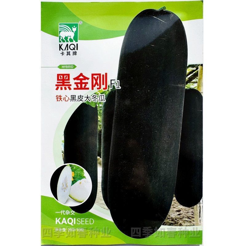 炮弹冬瓜种子广东黑皮冬瓜种籽高产特大巨型春秋春季四季蔬菜