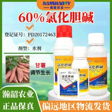 棒棒军60%氯化胆碱马铃薯红薯地下根茎块茎植物调节剂