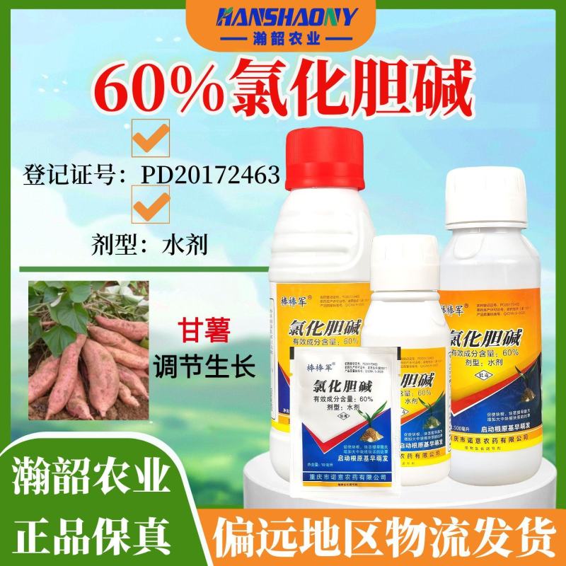 棒棒军60%氯化胆碱马铃薯红薯地下根茎块茎植物调节剂