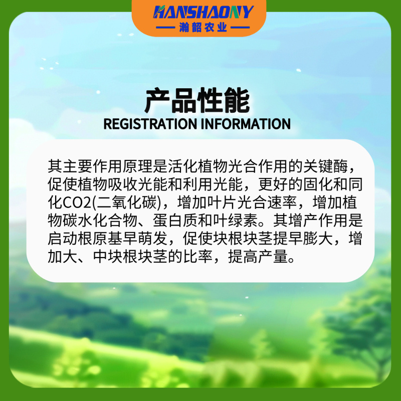棒棒军60%氯化胆碱马铃薯红薯地下根茎块茎植物调节剂
