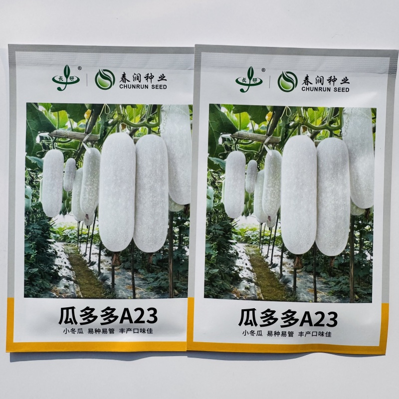 瓜多多A23白皮冬瓜种子肉厚腔小高产春秋播种冬瓜种子原装