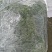 芥兰苗可批发，都是当天新鲜的，质量嘎嘎好，可视频看