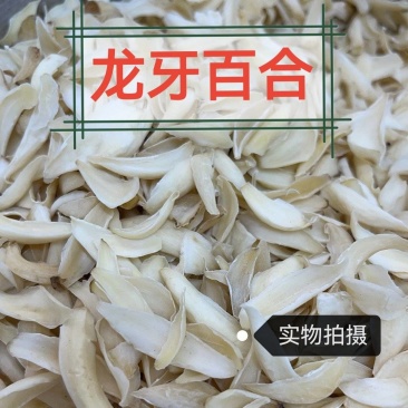 百合正品龙牙百合无杂品质保证龙牙百合百合