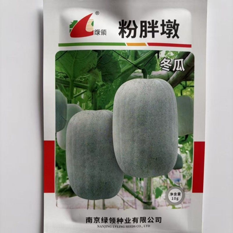 瓜多多A23白皮冬瓜种子肉厚腔小高产春秋播种冬瓜种子原装