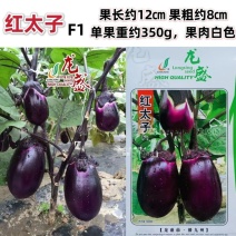 龙盛红太子茄子种子一代杂交早熟果肉白色紫红圆茄种子蔬