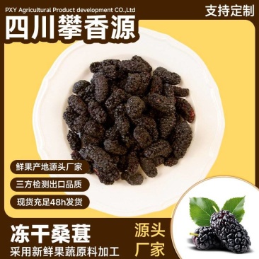 冻干桑葚