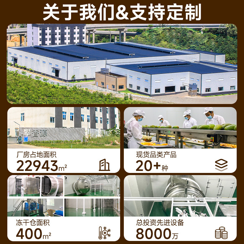 冻干苹果圈