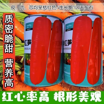 东洋红笋红胡萝卜种子甜脆高产夏季秋季易播种农家胡萝卜蔬菜