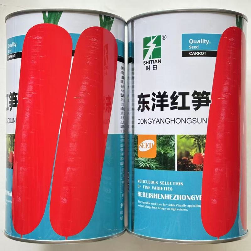 东洋红笋红胡萝卜种子甜脆高产夏季秋季易播种农家胡萝卜蔬菜