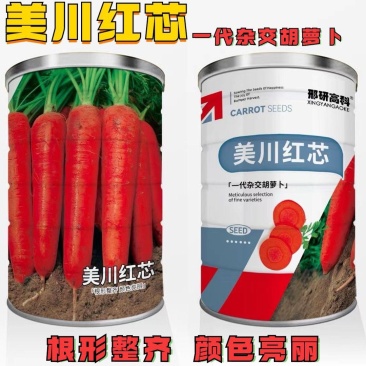 美川红芯水果型胡萝卜种子长圆锥形口感甜脆秋季胡萝卜种子膨