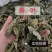 桑叶中药材正品桑叶霜桑叶品质保证干净无硫