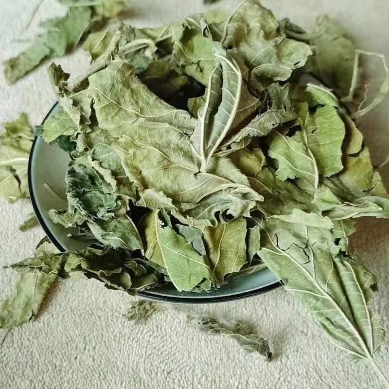 桑叶中药材正品桑叶霜桑叶品质保证干净无硫
