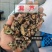 漏芦中药材正品漏芦干净无硫品质保证漏芦中药材