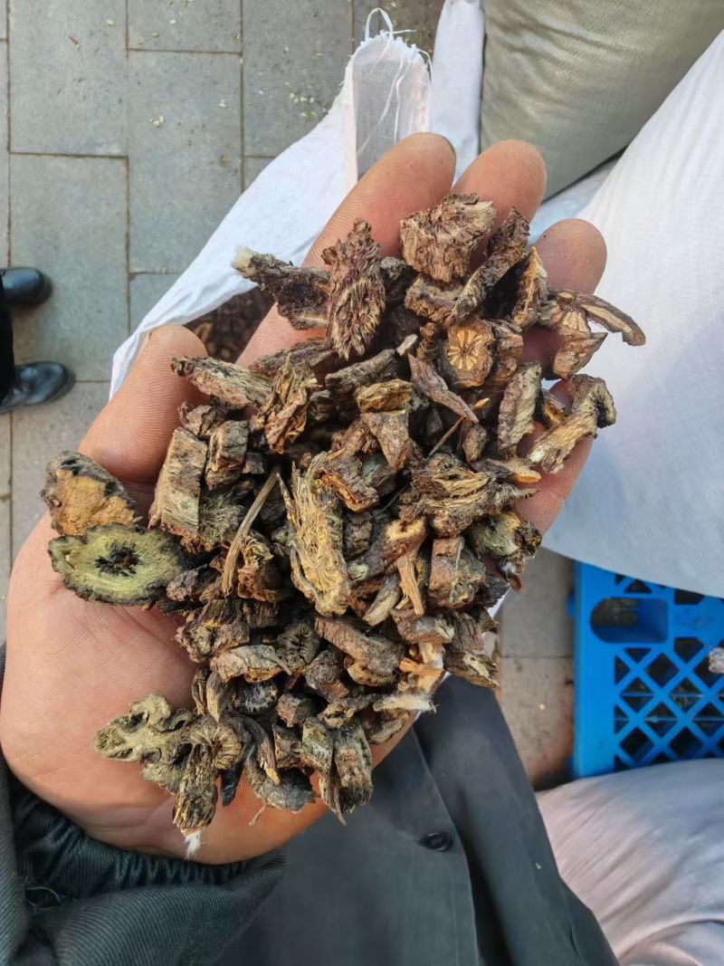 漏芦中药材正品漏芦干净无硫品质保证漏芦中药材