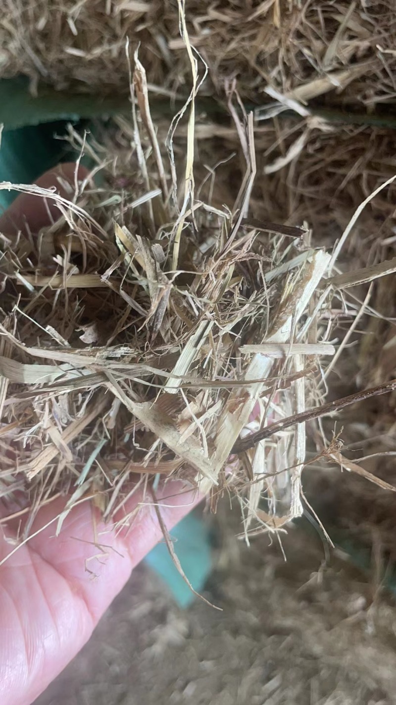 干草料