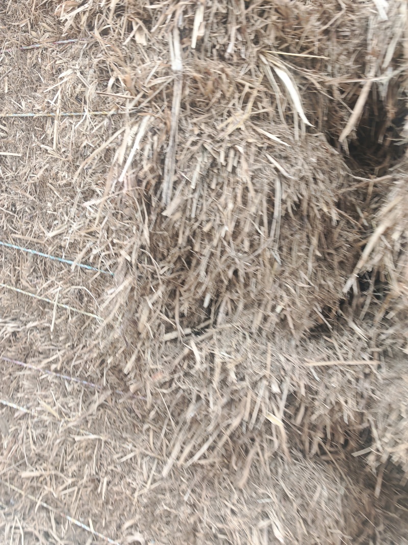 干草料