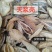 天浆壳中药材正品天浆壳干净无硫品质保证天浆壳