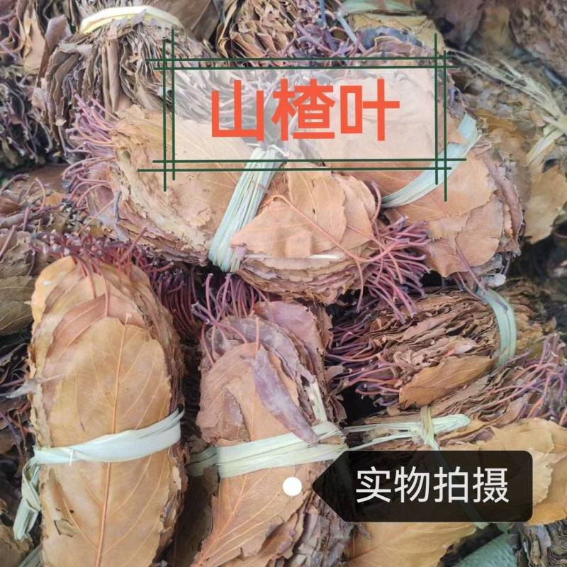 山楂叶中药材冷背正品无硫山楂叶晾晒手工捆绑