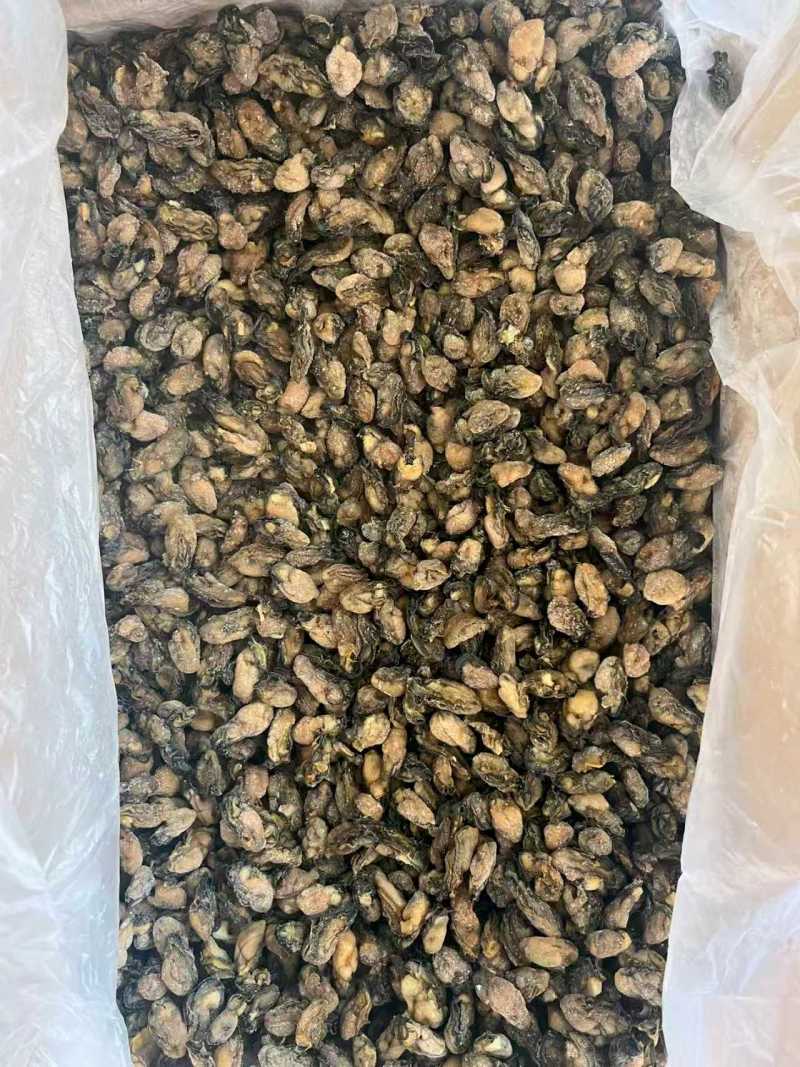 鲜甜生蚝干